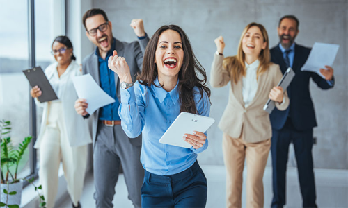 Selection Criteria – Business Excellence Award